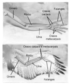 Imagem associada para resolu&ccedil;&atilde;o da quest&atilde;o