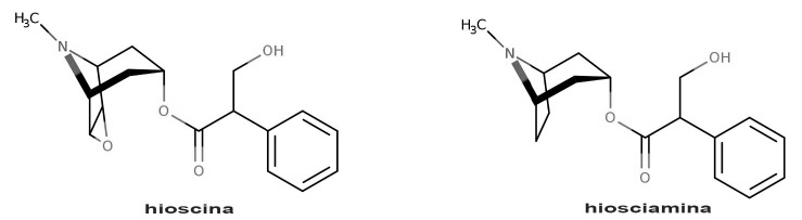 Imagem associada para resolu&ccedil;&atilde;o da quest&atilde;o