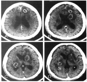 Imagem associada para resolu&ccedil;&atilde;o da quest&atilde;o