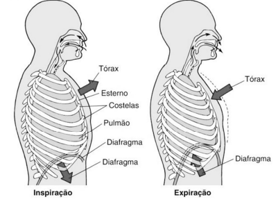 Imagem associada para resolu&ccedil;&atilde;o da quest&atilde;o
