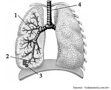 Imagem associada para resolu&ccedil;&atilde;o da quest&atilde;o