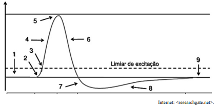 Imagem associada para resolu&ccedil;&atilde;o da quest&atilde;o