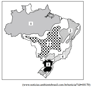 Imagem associada para resolu&ccedil;&atilde;o da quest&atilde;o