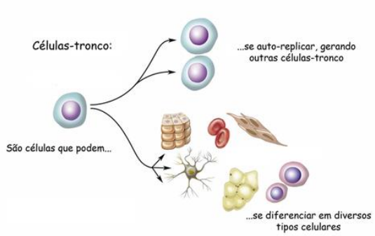 Imagem associada para resolu&ccedil;&atilde;o da quest&atilde;o