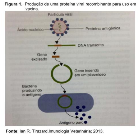 Imagem associada para resolu&ccedil;&atilde;o da quest&atilde;o