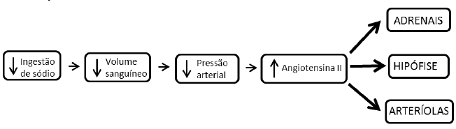 Imagem associada para resolu&ccedil;&atilde;o da quest&atilde;o