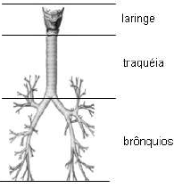 Imagem associada para resolu&ccedil;&atilde;o da quest&atilde;o
