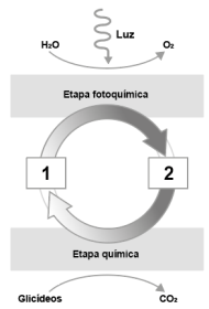 Imagem associada para resolu&ccedil;&atilde;o da quest&atilde;o