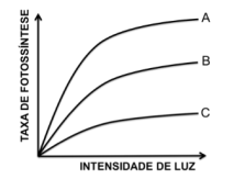 67_2.png (213&times;163)