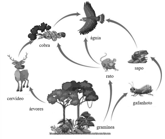 Captura_de tela 2026-03-12 143433.png (530&times;446)