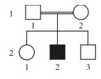 Captura_de tela 2026-03-12 143906.png (143&times;113)