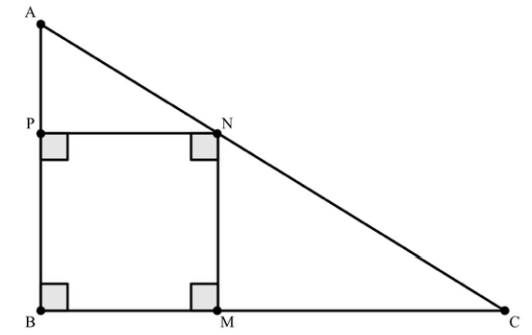 Captura_de tela 2026-03-12 155928.png (532&times;335)