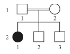 Captura_de tela 2026-03-12 143911.png (145&times;111)