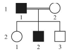 Captura_de tela 2026-03-12 143915.png (145&times;109)
