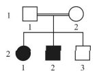 Captura_de tela 2026-03-12 143921.png (145&times;117)