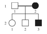 Captura_de tela 2026-03-12 143925.png (155&times;112)