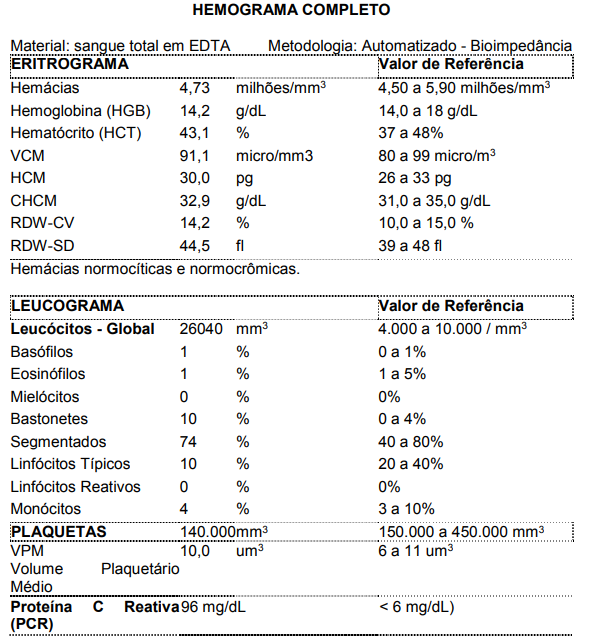Captura_de tela 2024-11-01 100110.png (592&times;641)