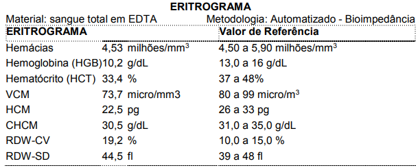 Captura_de tela 2024-11-01 100214.png (609&times;245)