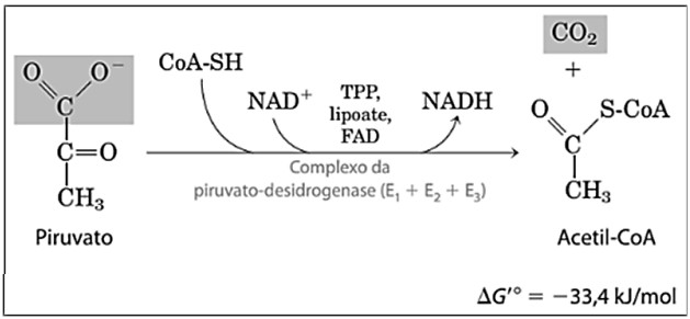 Imagem associada para resolu&ccedil;&atilde;o da quest&atilde;o