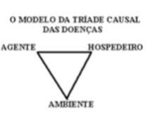 Captura_de tela 2026-06-30 145327.jpg (210×162)