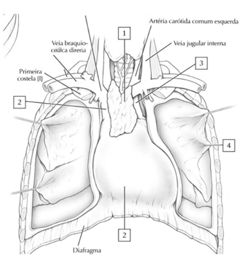 Q32.png (353&times;389)