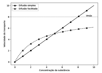 Imagem associada para resolu&ccedil;&atilde;o da quest&atilde;o