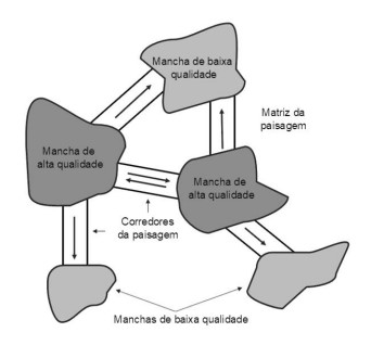 Captura_de tela 2026-06-01 090021.jpg (342&times;318)
