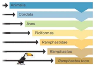 Imagem associada para resolu&ccedil;&atilde;o da quest&atilde;o