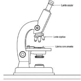 Captura_de tela 2026-08-28 092942.png (273&times;272)
