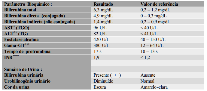 Captura_de tela 2026-03-19 133451.png (689&times;304)