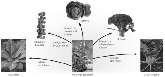 Imagem associada para resolu&ccedil;&atilde;o da quest&atilde;o